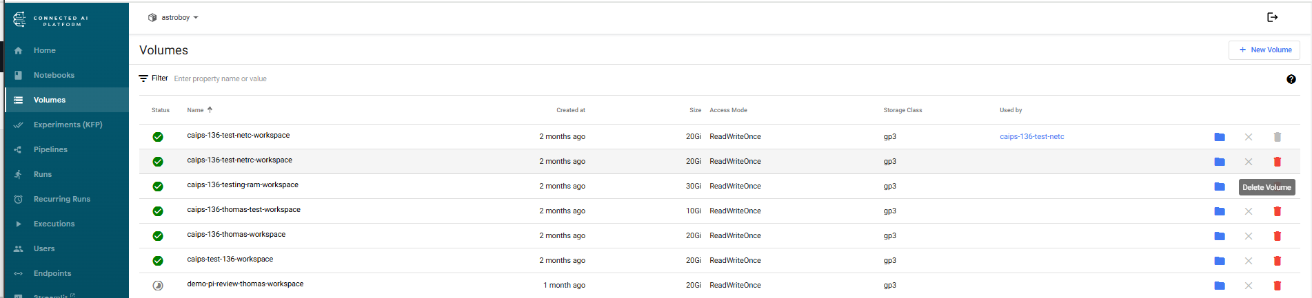 Volume deletion