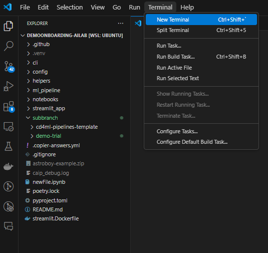 VS Code terminal interface