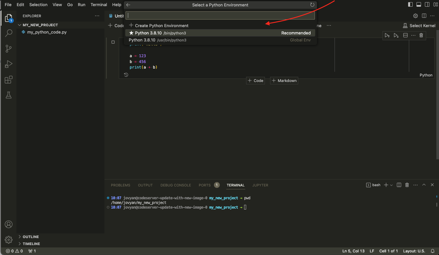 Choose Python Environment