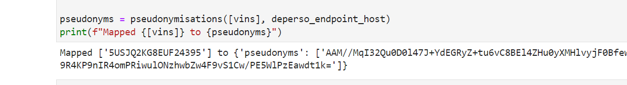 PII API test output