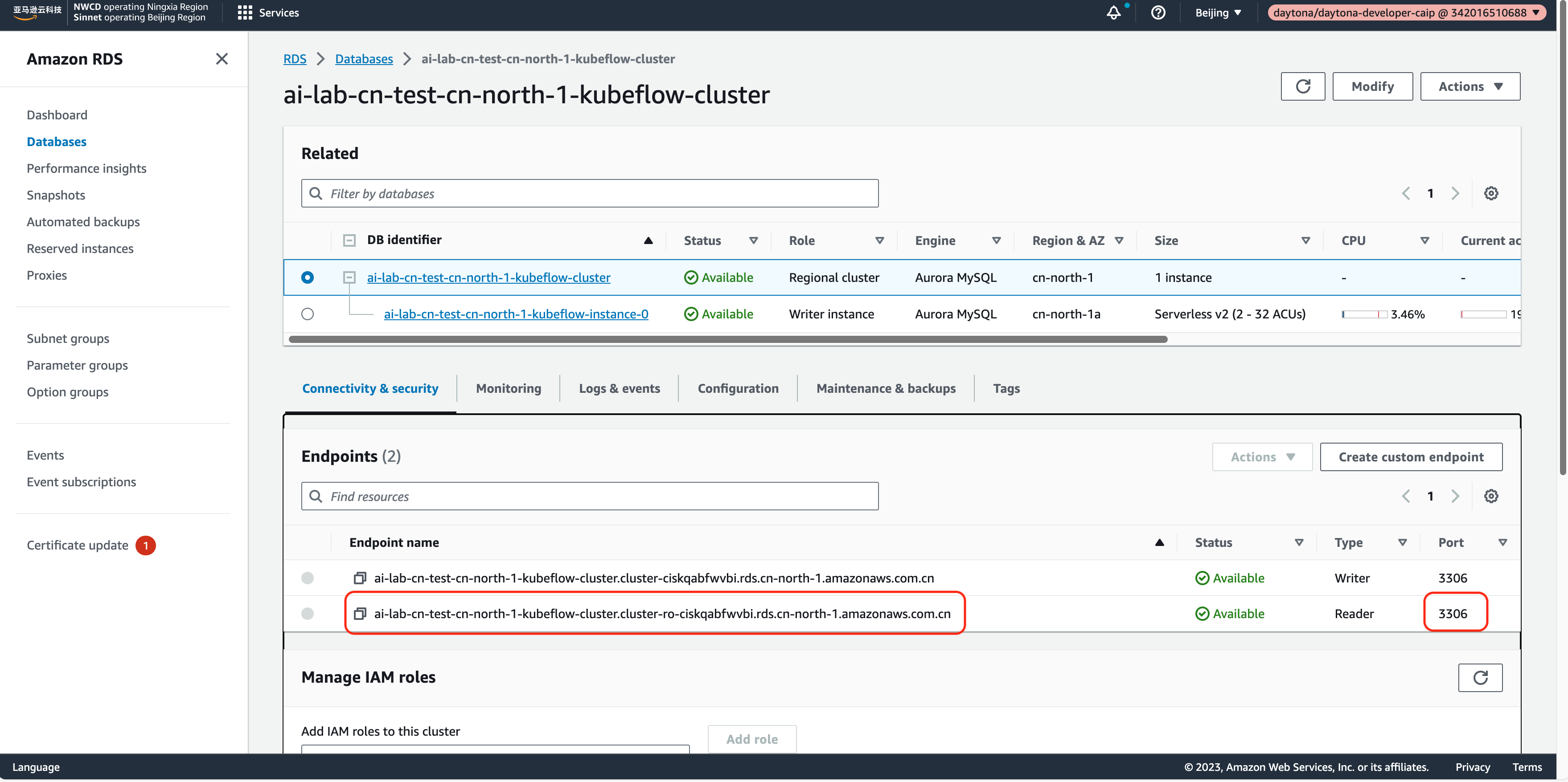 RDS Cluster Information